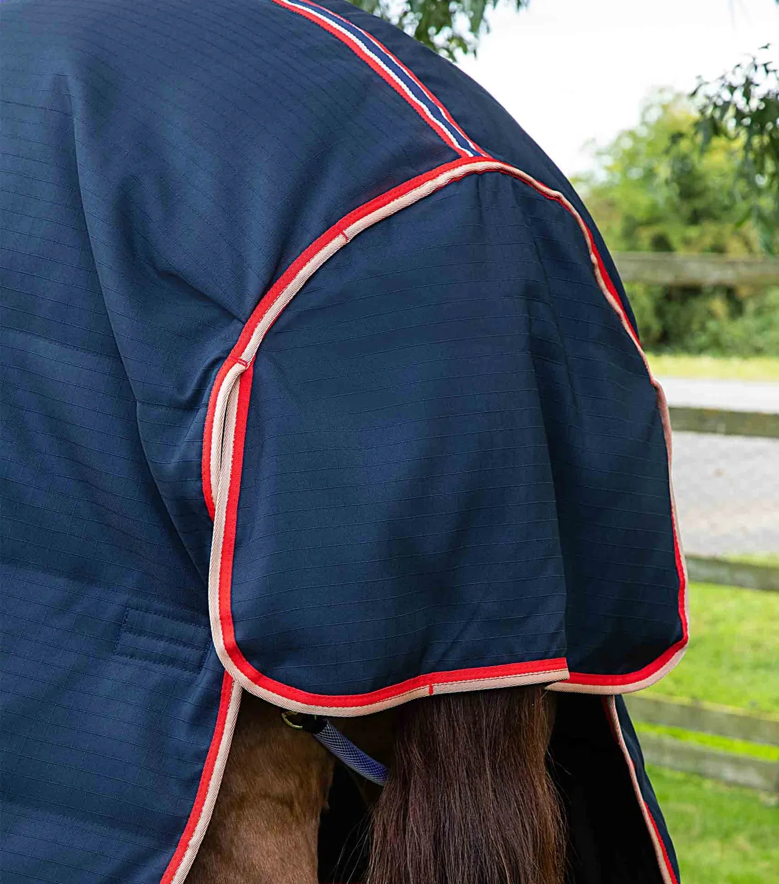 Premier Equine Stable Buster 100g Combo
